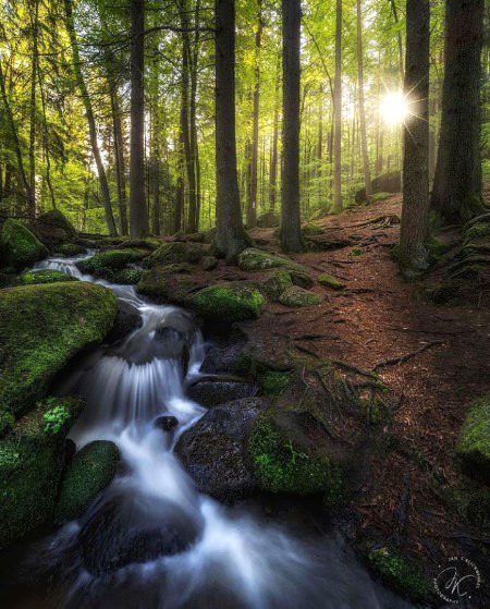Beautiful Nature image
