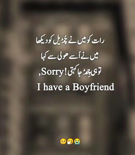 Memes & Satire image