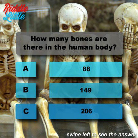 Knowledge Test image
