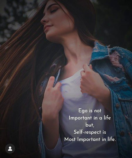 Attitude Quotes image