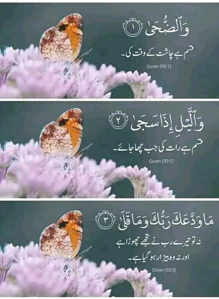 Islamic Quotes image