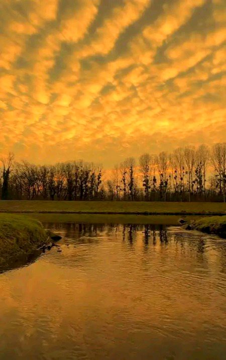 Beautiful Nature image