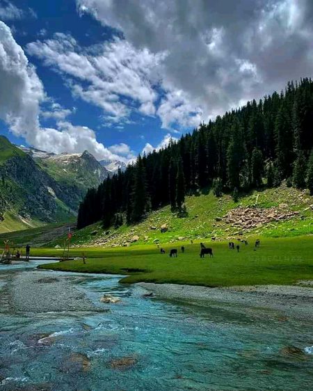 Beautiful Nature image