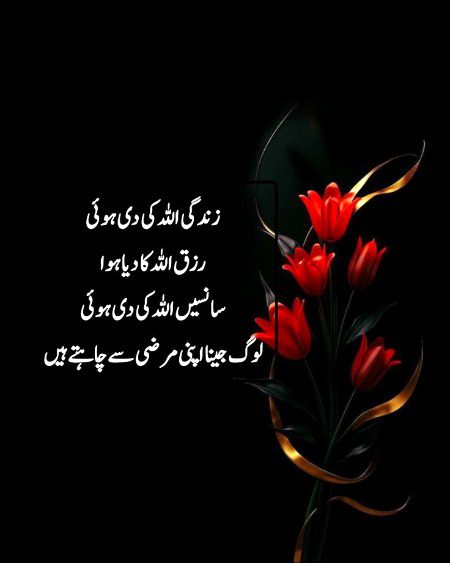 👍💫🥀💫🌟🌟💫