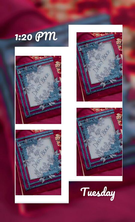 Mistake hogai dairy bi likh dia book bi