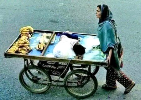 چھپکلی سے ڈر جانے والی ایک نازک لڑکی جب ماں بنتی ہے تو اپنی اولاد کی خاطر  دنیا کے مگر مچھوں سے بھی لڑ جاتی ہے۔