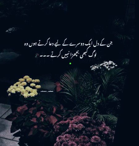 Motivational Quotes image