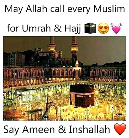 Beautiful Structures image