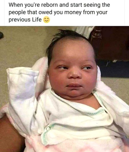 Memes & Satire image