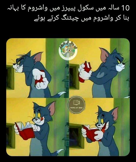 Memes & Satire image