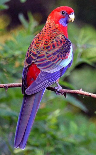 Beautiful Nature image