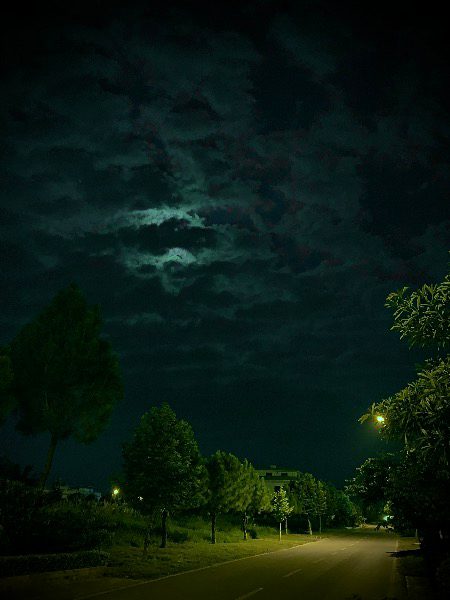 Beautiful Nature image