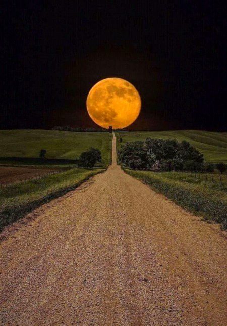 Beautiful Nature image