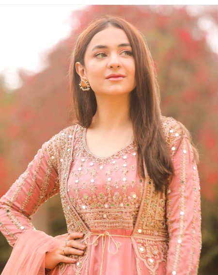 Pakistani Celebs image
