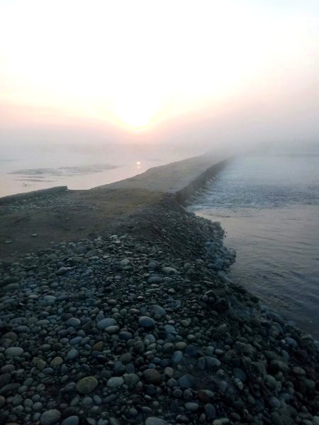 Beautiful nature lvly morning 🌄