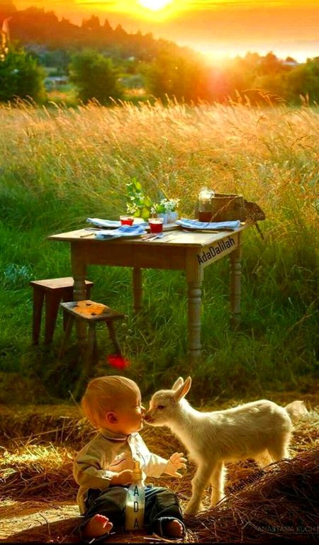 Beautiful Nature image