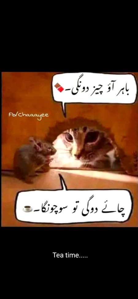 خاک ان سے محبت کی جائے
 جنکو چاۓ سے خوف آتا ہے ☕🔥