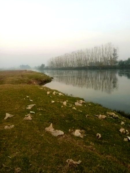 Beautiful nature p kchry ka kia Kam ...