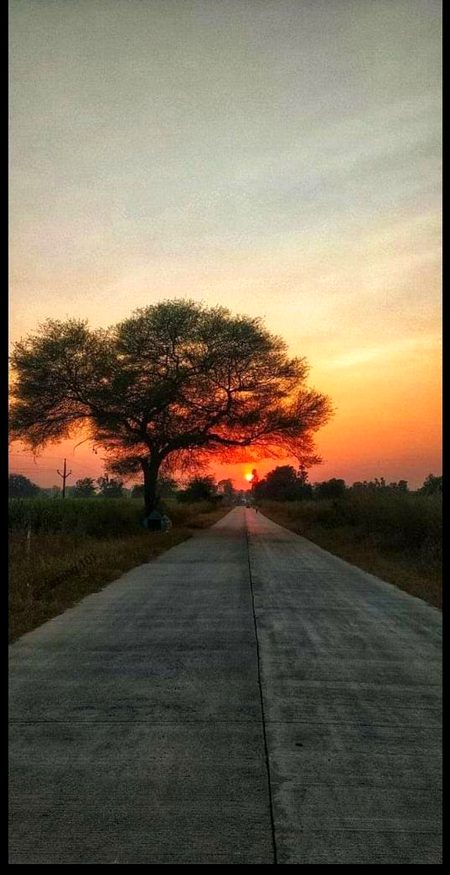 Beautiful Nature image