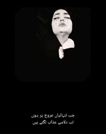جب تنہائیاں عروج پر ہـوں
تب دلاسے عذاب لگتے ہیں