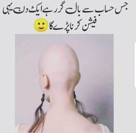 Memes & Satire image
