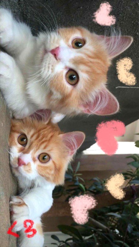 Beautiful Nature image