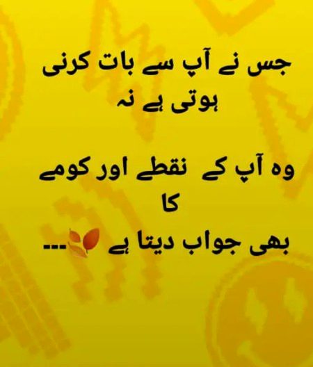 سانپ کے ڈسنے کو
بھول جانا
مگر
دربارہ پالنے کی غلطی کبھی مت کرنا