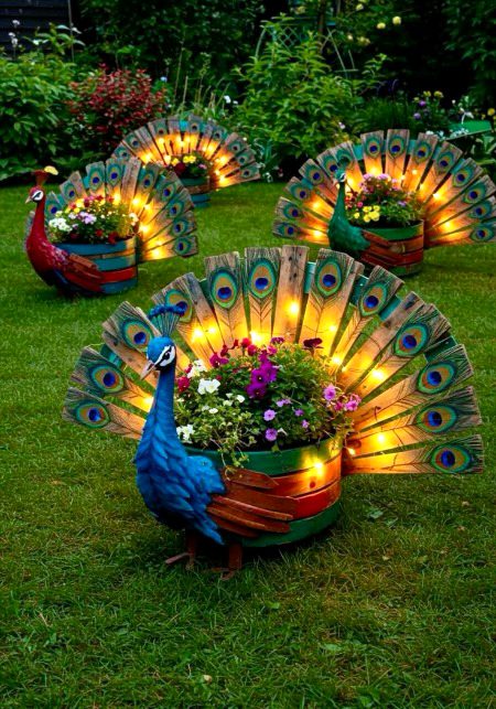 Beautiful Nature image