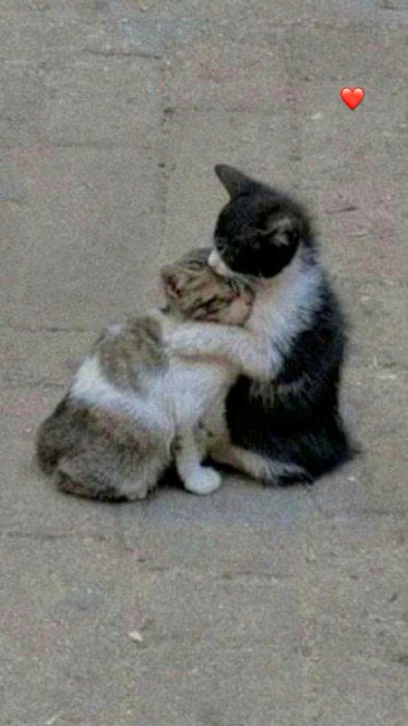 Beautiful Nature image