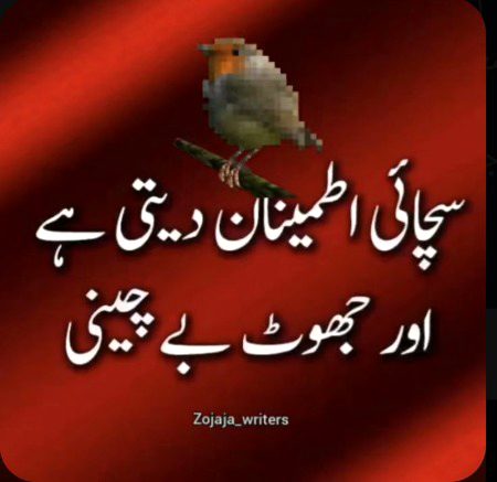 Blkl Saanaam❣️❣️