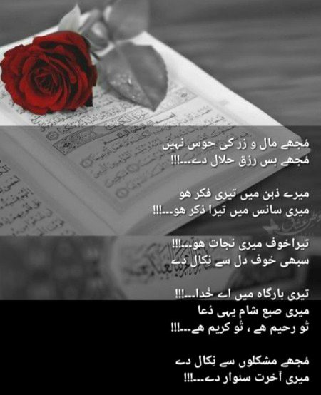 Islamic Quotes image