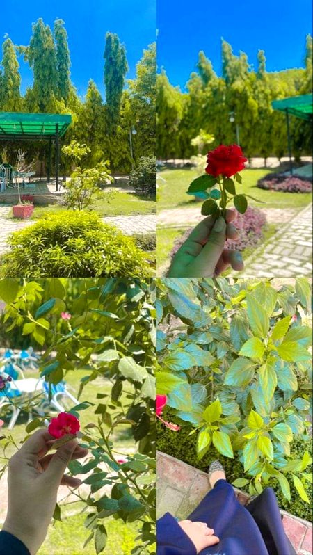 Beautiful Nature image