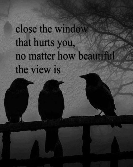 Life Advice image