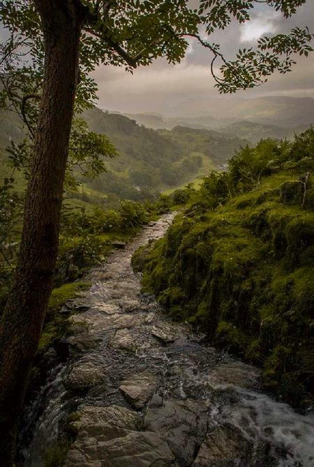 Beautiful Nature image