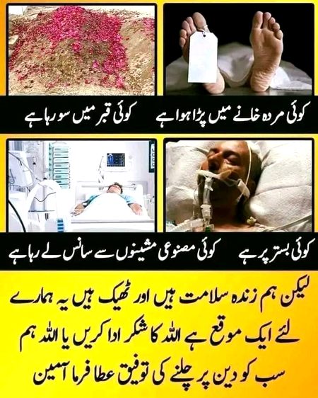 shukar ada kary agar aap ki sehat achchi hain.. or aap par dunyan main asaani ho..