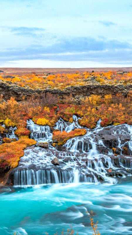 Beautiful Nature image
