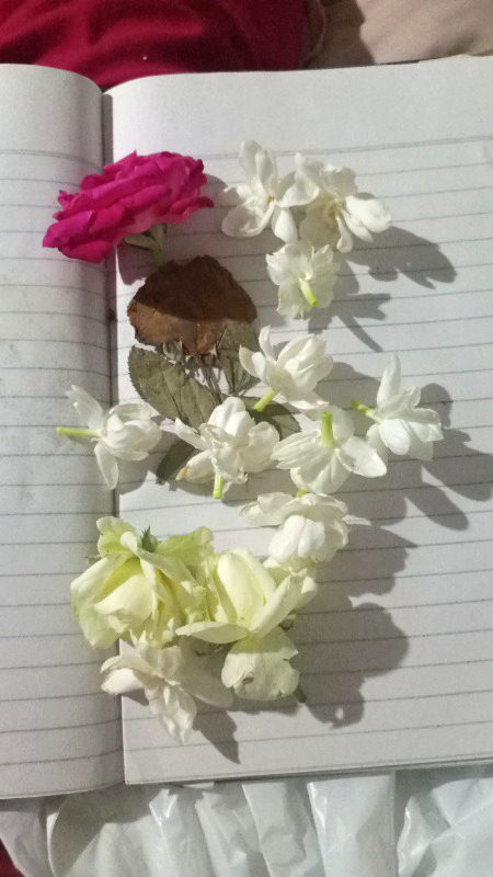 Dard da k phool dty a 🥹🥲 rukh ^^~~