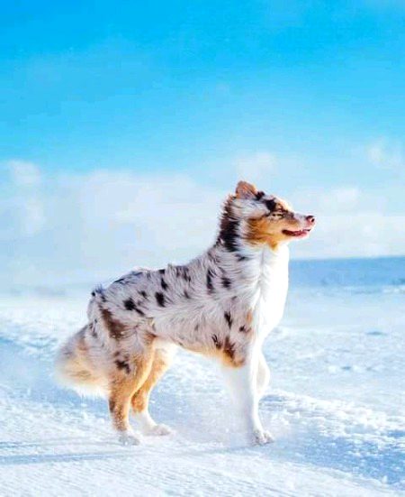 Beautiful Nature image