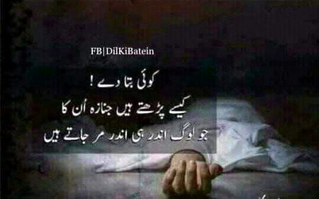 Koi bta dy