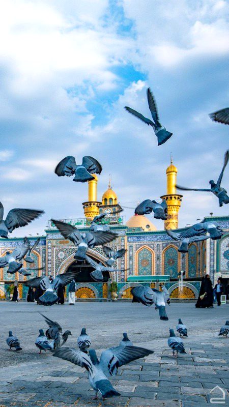 Beautiful Structures image