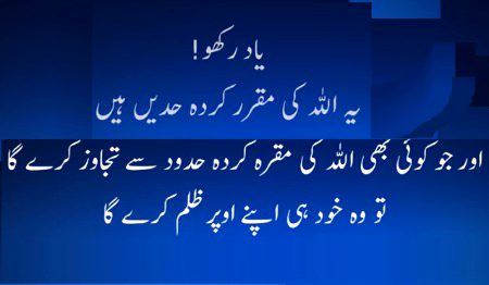 Islamic Quotes image