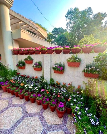 Beautiful Nature image