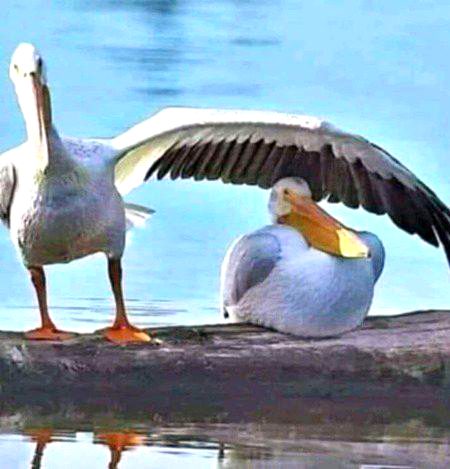 Beautiful Nature image