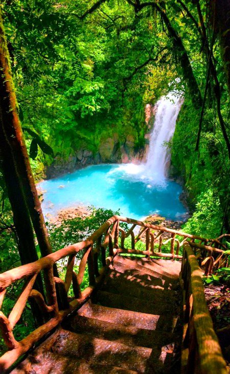 Beautiful Nature image