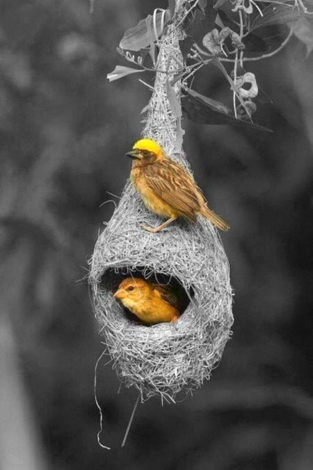 Beautiful Nature image