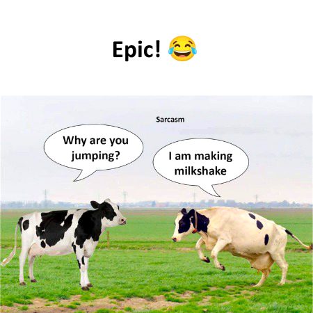٩(๑❛ᴗ❛๑)۶