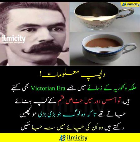 Interesting Posts image