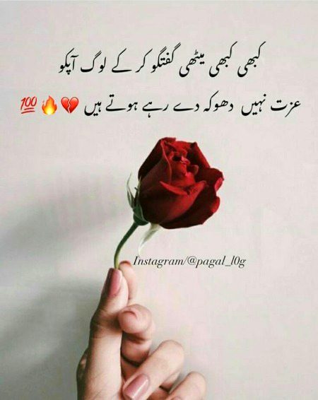 No Caption 🌺🌺🌺