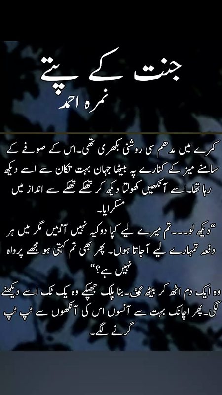 Romantic Novels image