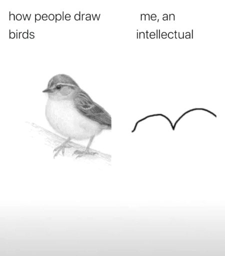 Memes & Satire image